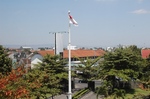 DSC_1900.jpg