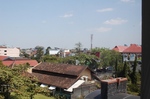 DSC_1901.jpg